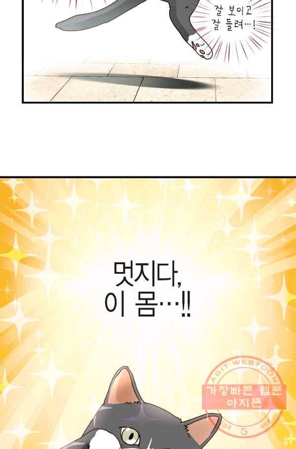생존결혼 44화 17