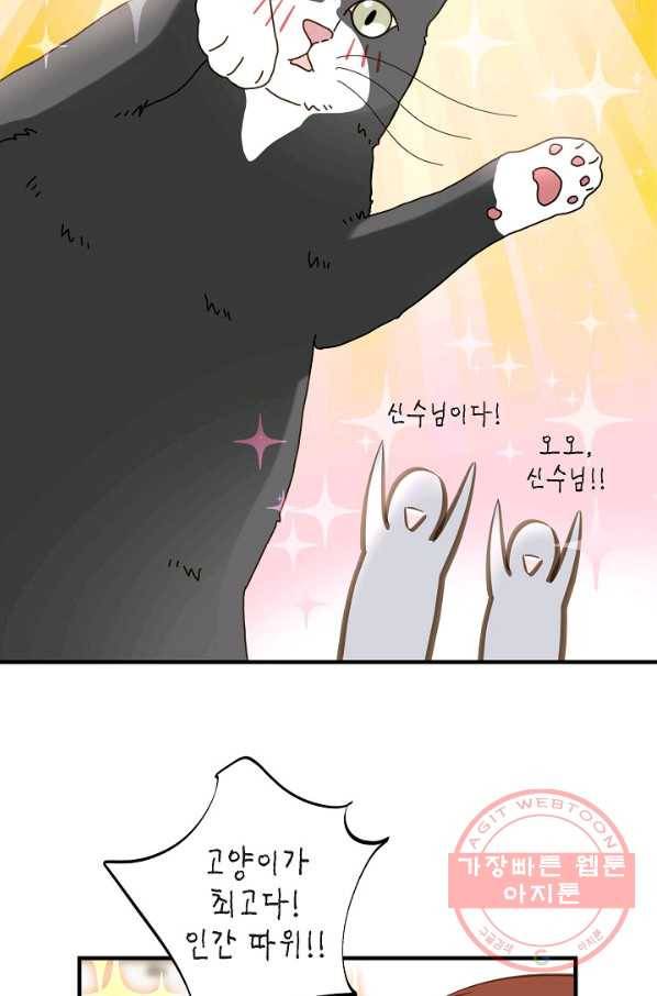 생존결혼 44화 18