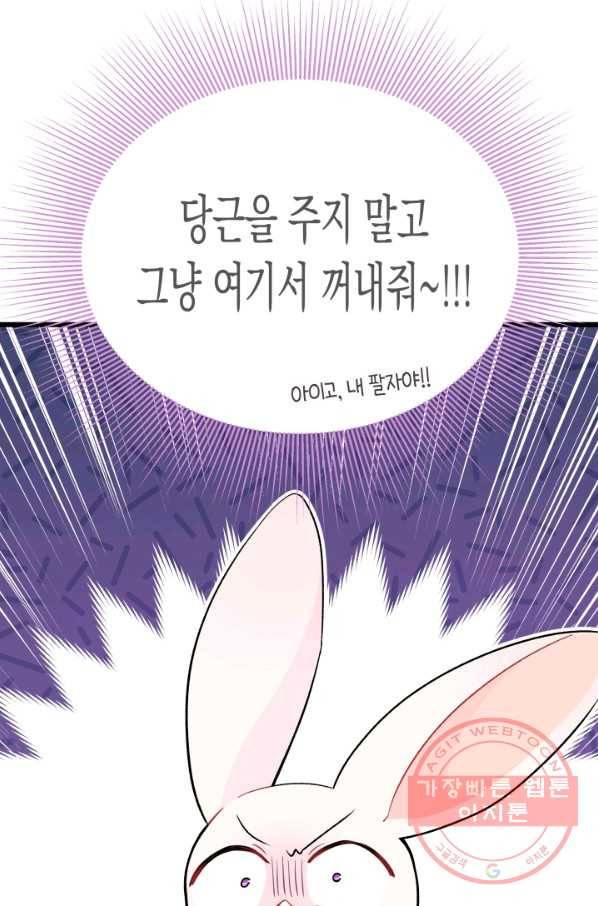 토끼와 흑표범의 공생관계 35화 17