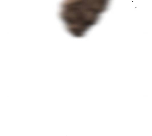 아침을 지나 밤으로 54화 17