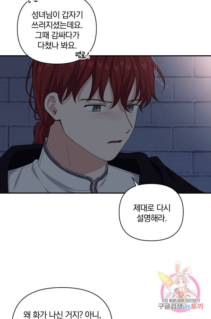 TL 소설 속 시녀가 되었습니다 50화 61