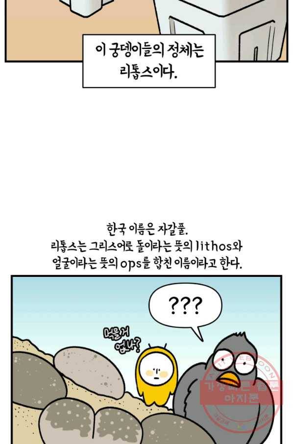 크레이지 가드너 7화 이상하게 생긴 식물 5