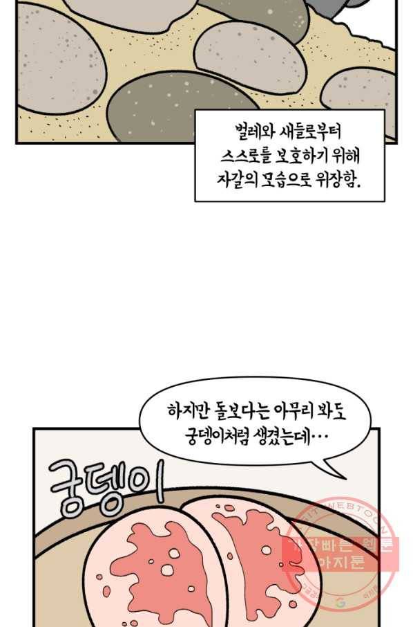 크레이지 가드너 7화 이상하게 생긴 식물 6