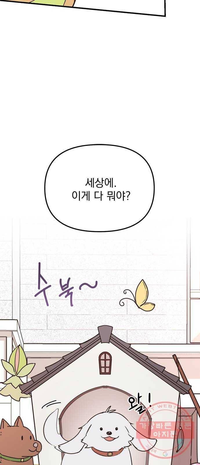 독신마법사 기숙아파트 12화 48