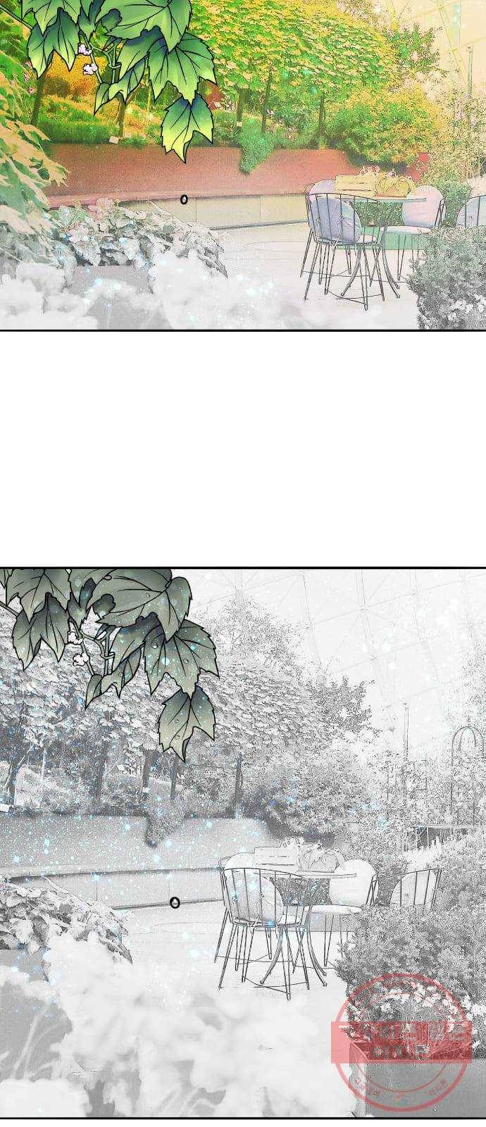 여우담:스윗싱가포르 06화 - 가든 랩소디 ｜ 신비로운 나무들의 서커스 7