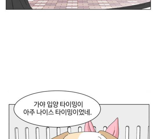 개를 낳았다  개를 낳았다 시즌2 73화 6