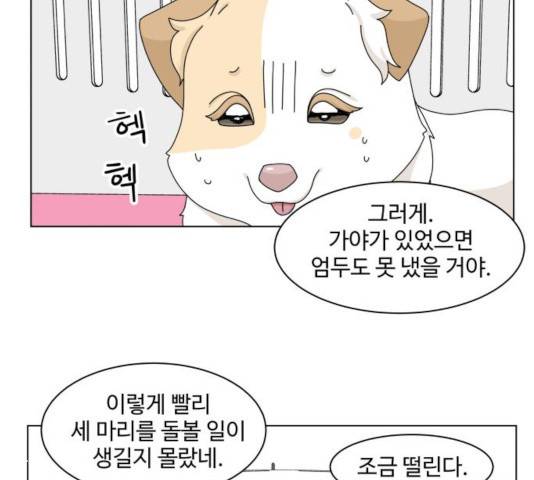 개를 낳았다  개를 낳았다 시즌2 73화 7