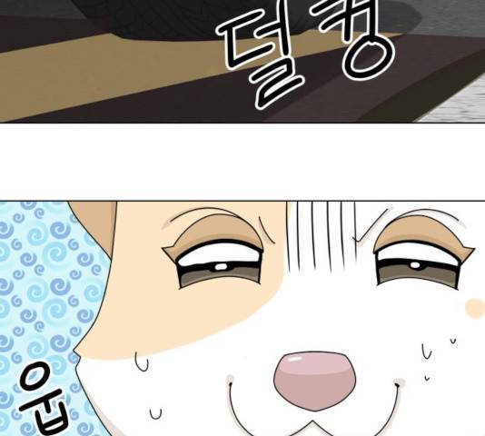 개를 낳았다  개를 낳았다 시즌2 73화 12