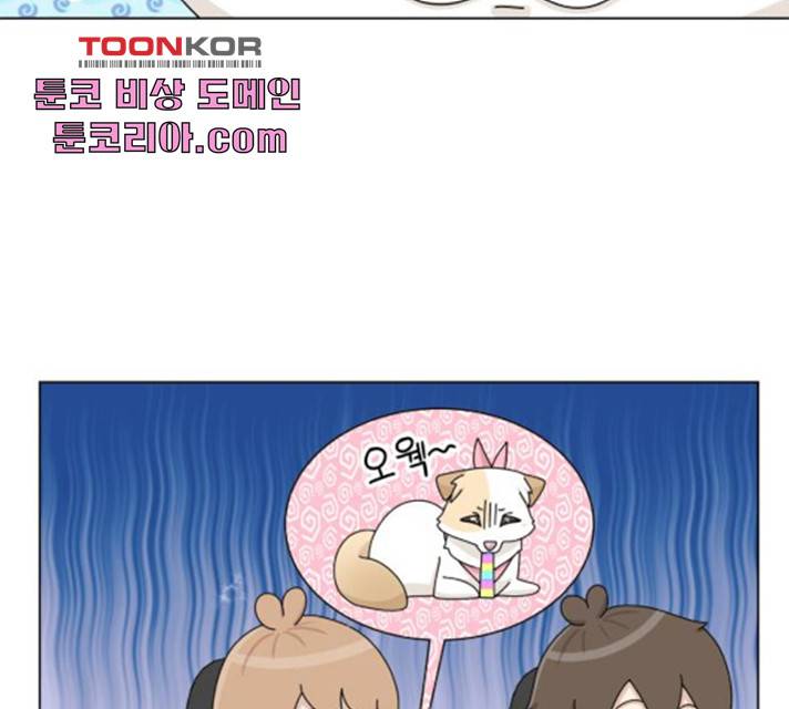 개를 낳았다  개를 낳았다 시즌2 73화 13