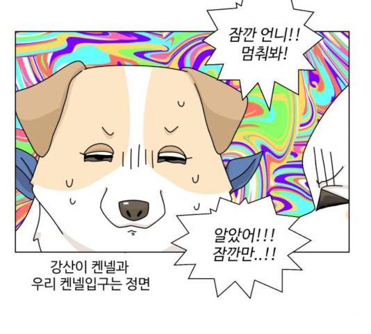 개를 낳았다  개를 낳았다 시즌2 73화 16