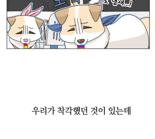 개를 낳았다  개를 낳았다 시즌2 73화 18