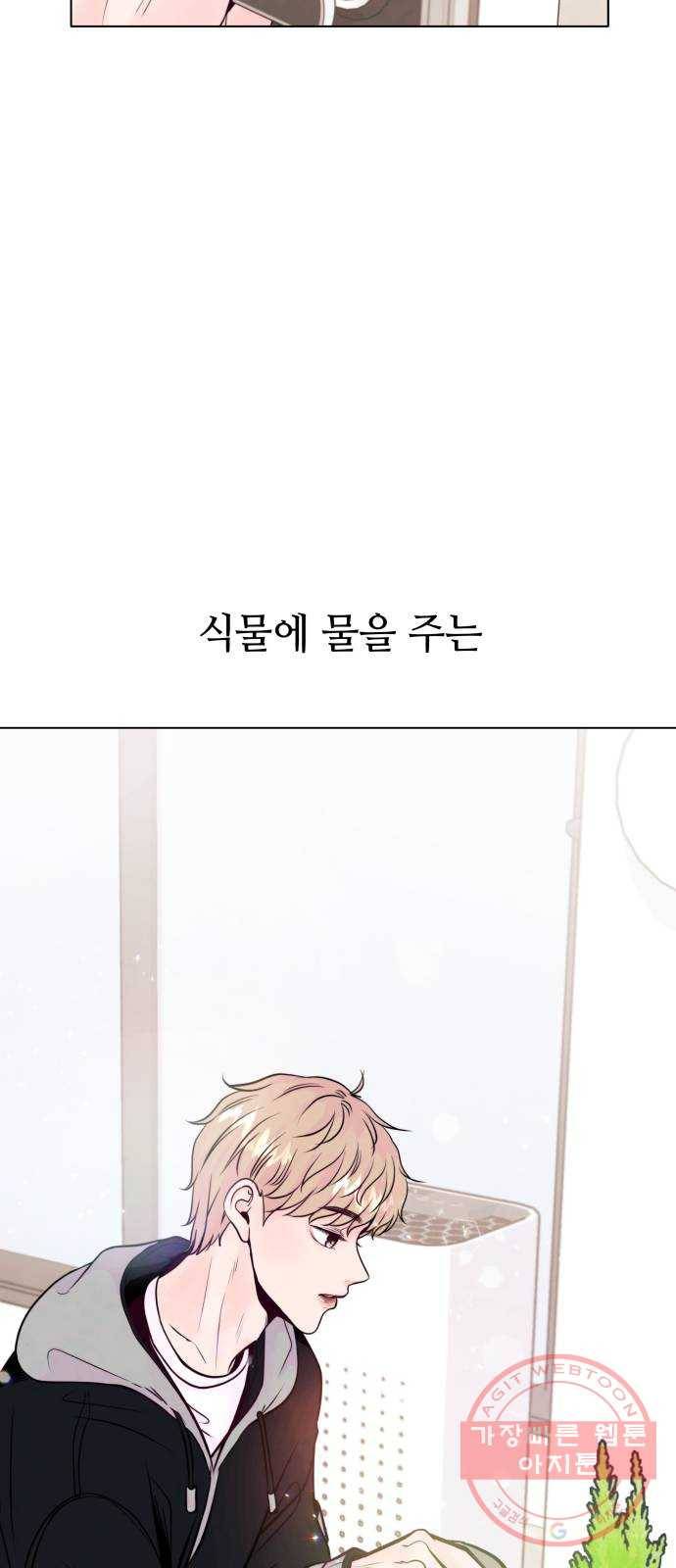 취향 소개소 10. 식물도 이사가 필요해 9