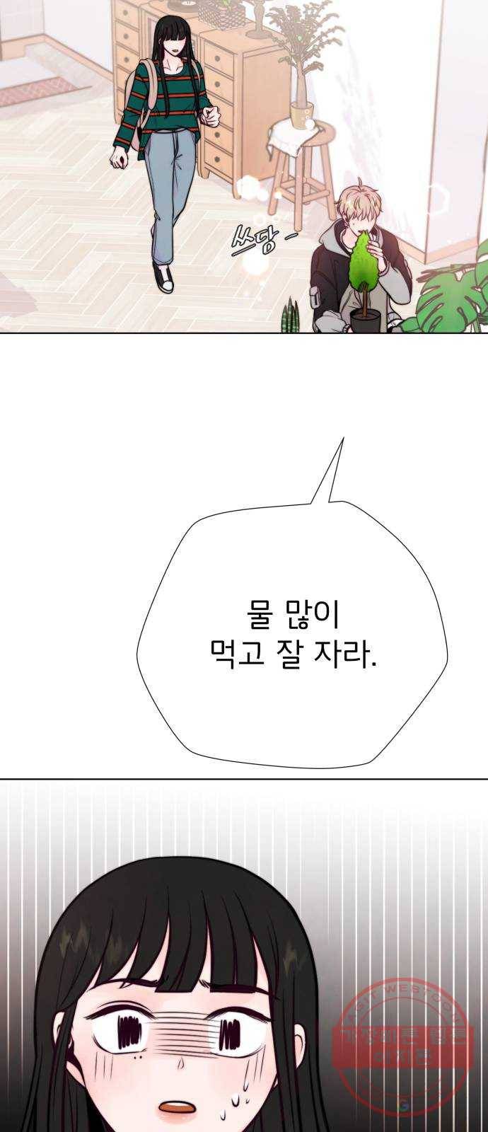 취향 소개소 10. 식물도 이사가 필요해 12