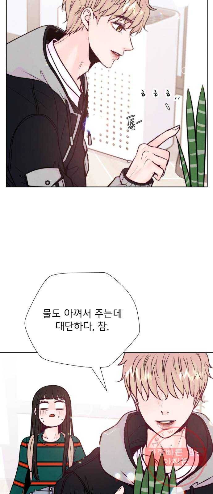 취향 소개소 10. 식물도 이사가 필요해 14