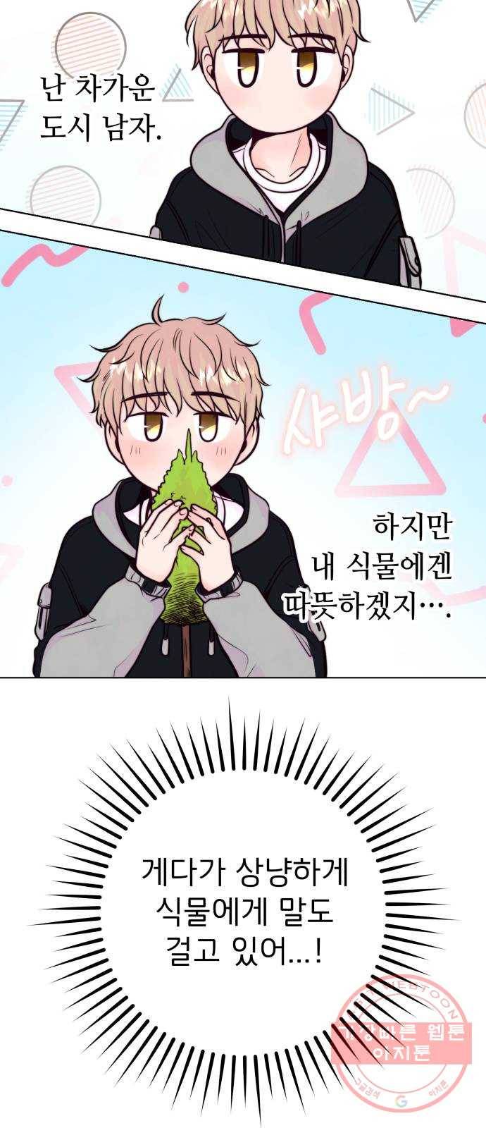 취향 소개소 10. 식물도 이사가 필요해 17