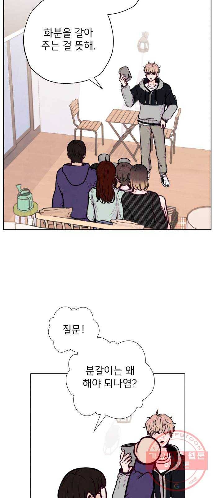 취향 소개소 10. 식물도 이사가 필요해 30