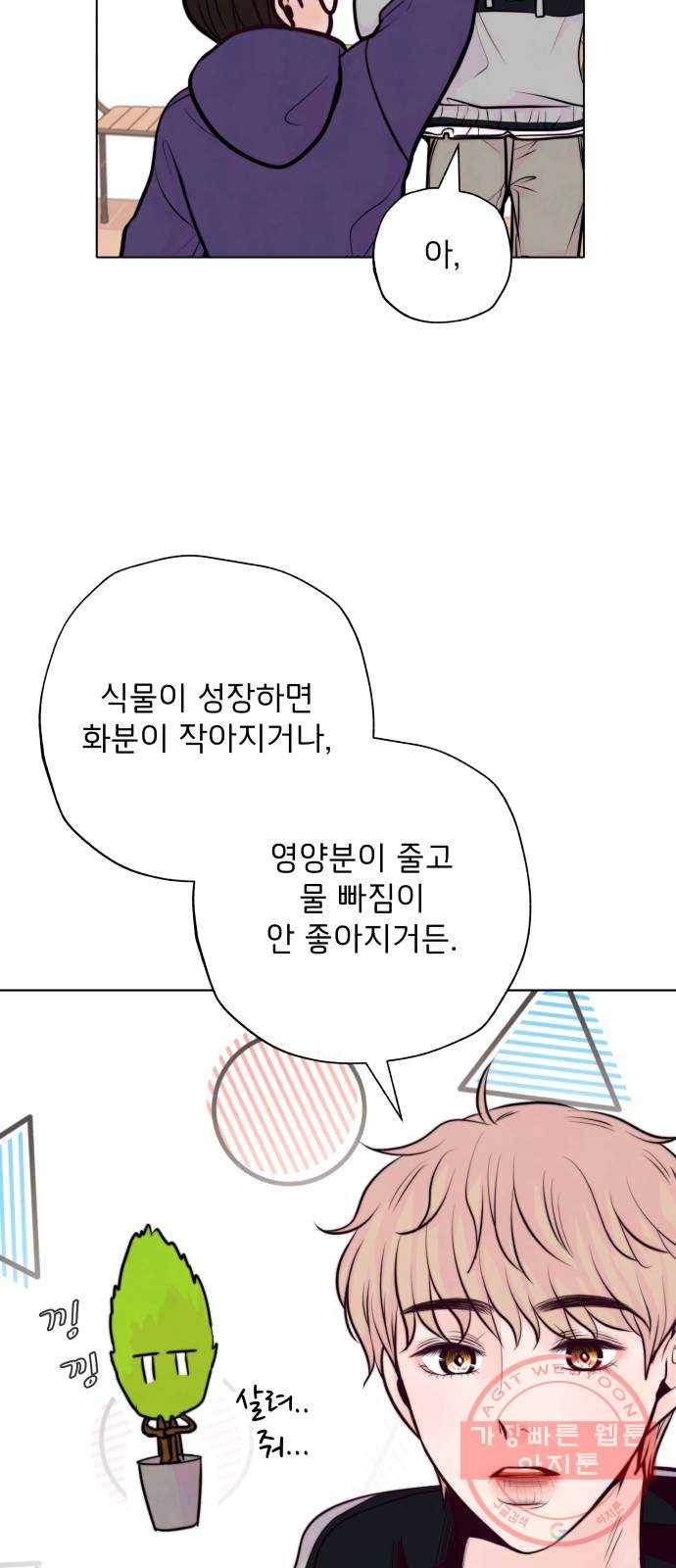 취향 소개소 10. 식물도 이사가 필요해 31