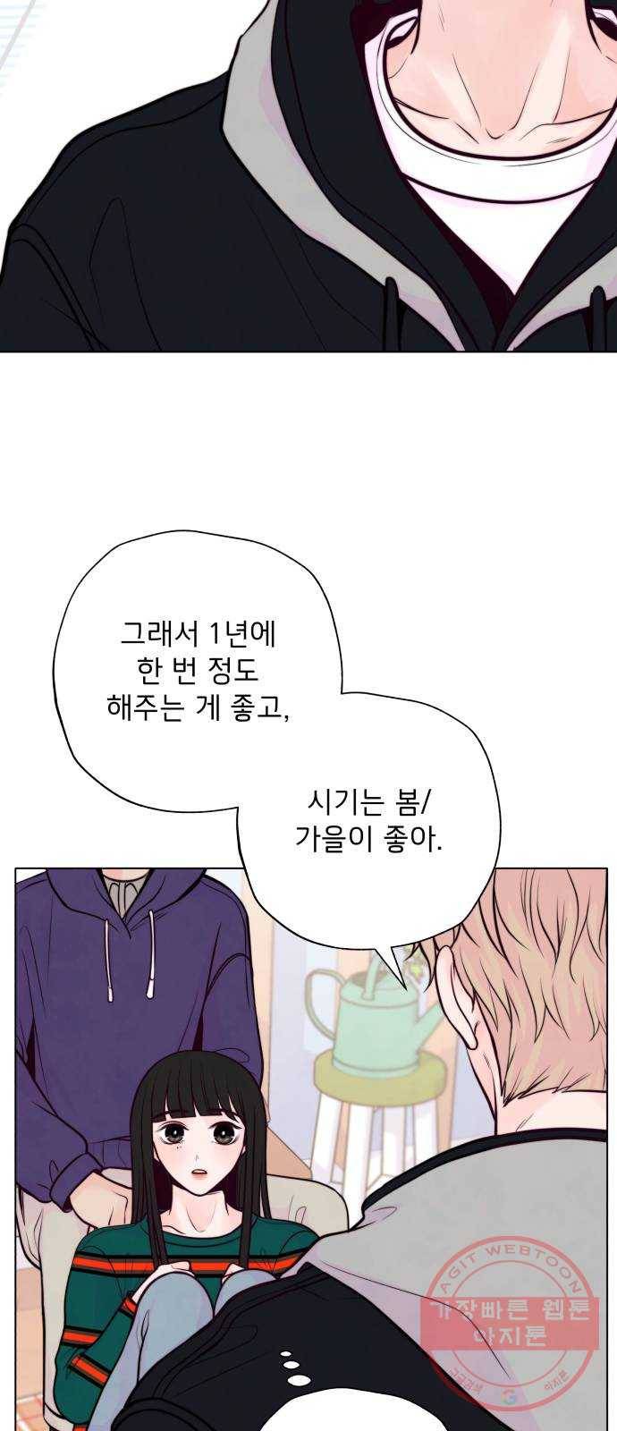 취향 소개소 10. 식물도 이사가 필요해 32