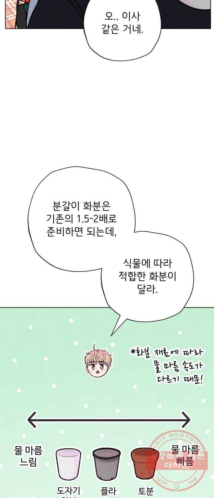취향 소개소 10. 식물도 이사가 필요해 33