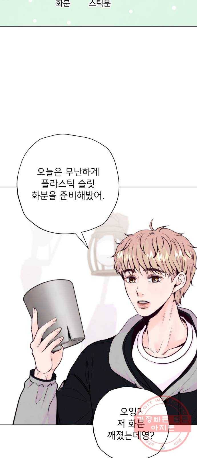 취향 소개소 10. 식물도 이사가 필요해 34