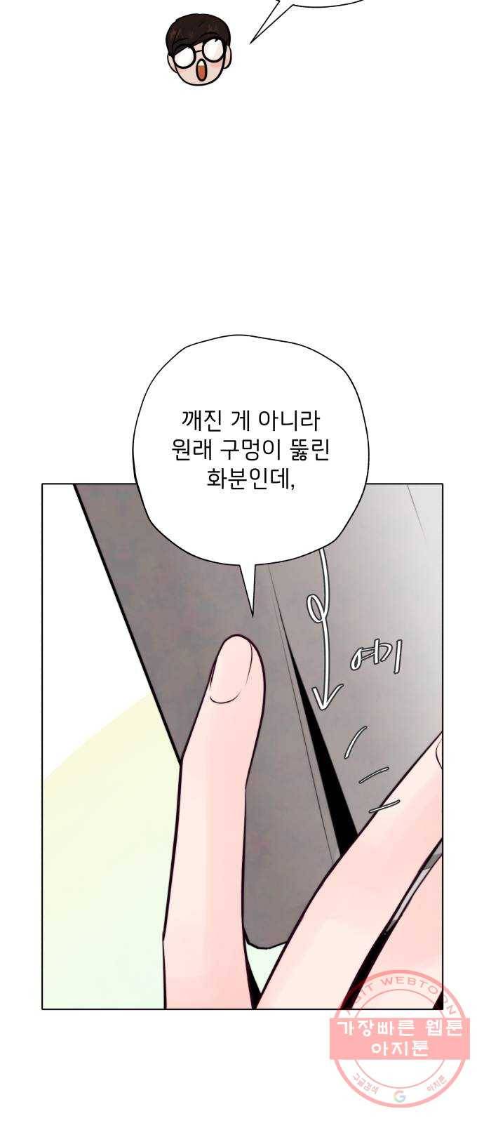 취향 소개소 10. 식물도 이사가 필요해 35