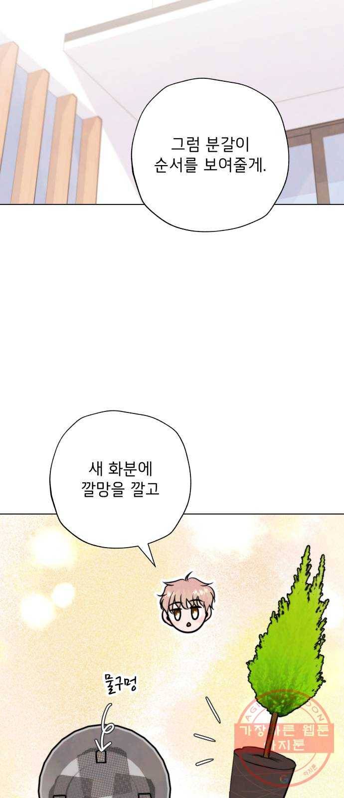 취향 소개소 10. 식물도 이사가 필요해 37