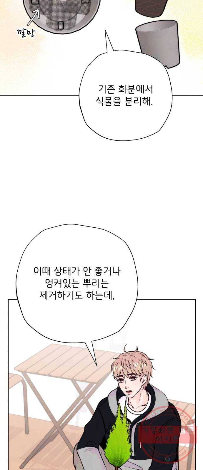 취향 소개소 10. 식물도 이사가 필요해 38