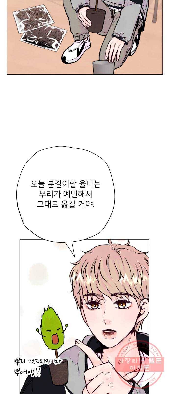 취향 소개소 10. 식물도 이사가 필요해 39