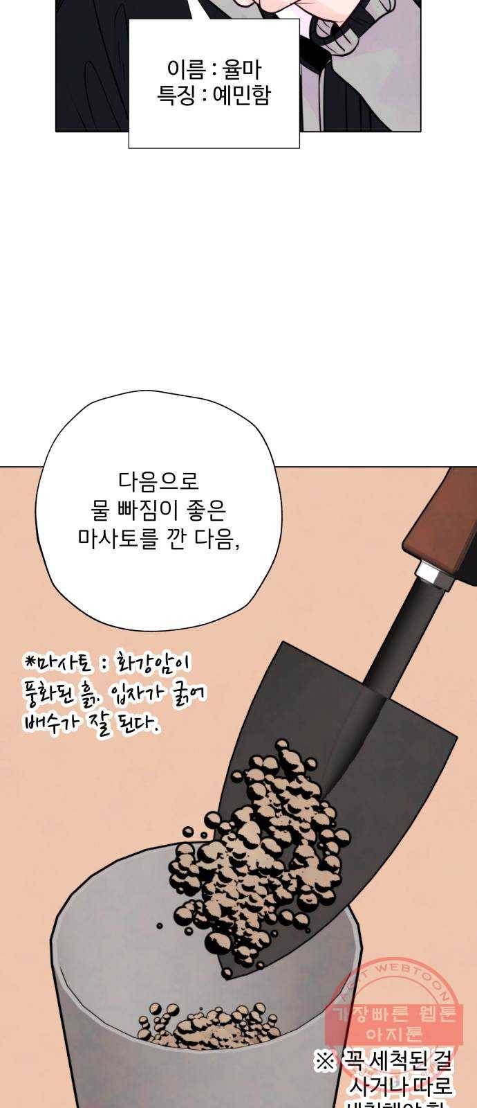 취향 소개소 10. 식물도 이사가 필요해 40