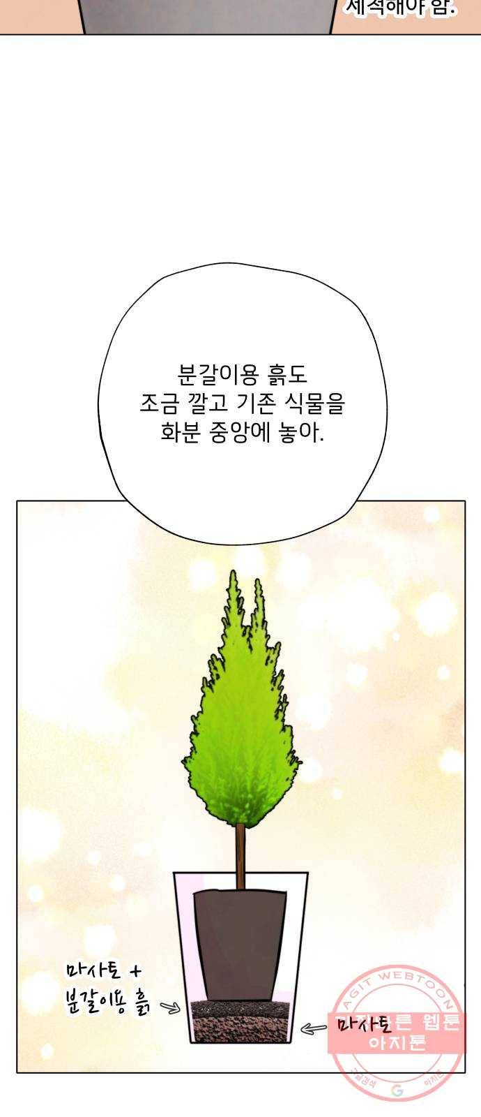 취향 소개소 10. 식물도 이사가 필요해 41