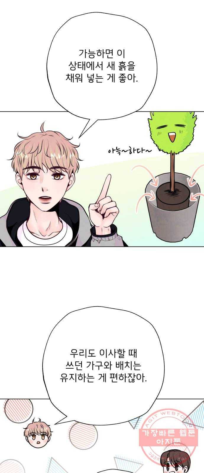 취향 소개소 10. 식물도 이사가 필요해 43