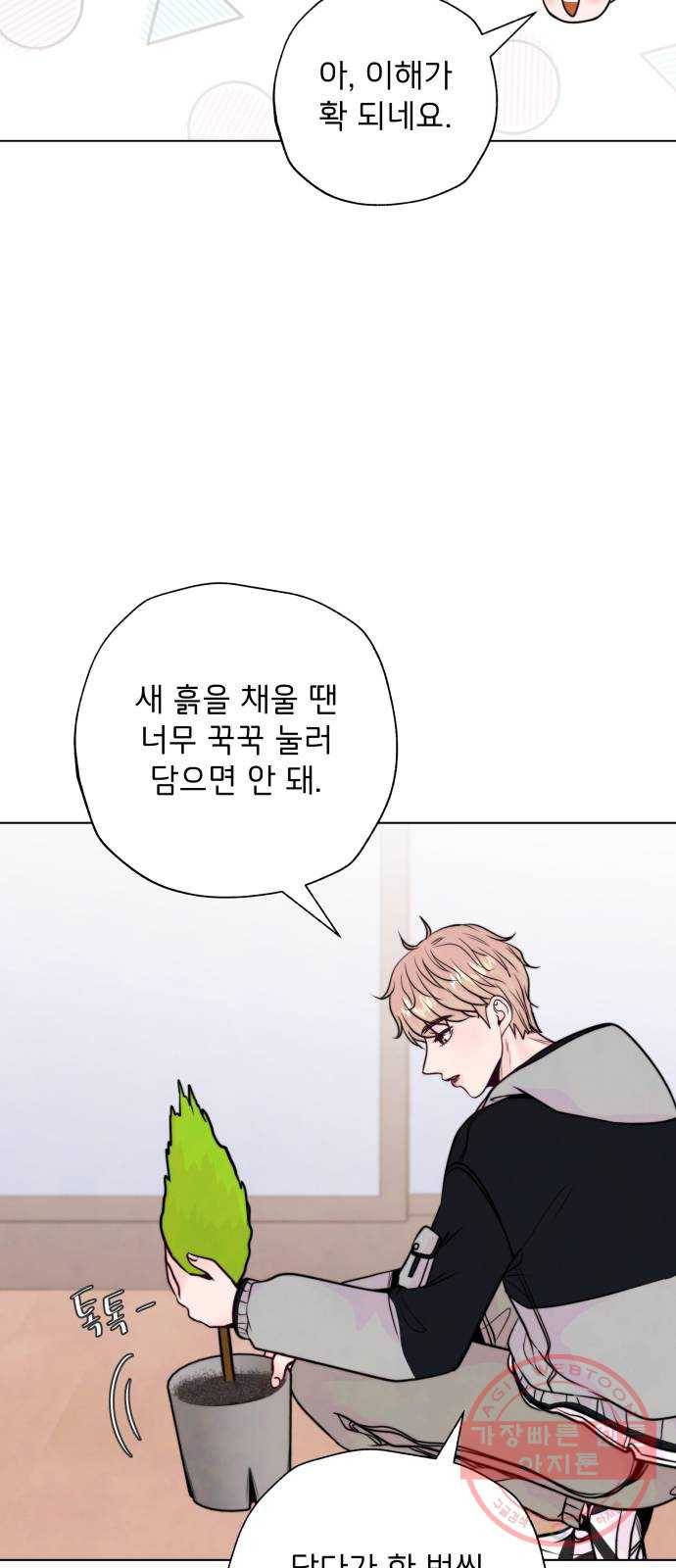 취향 소개소 10. 식물도 이사가 필요해 44
