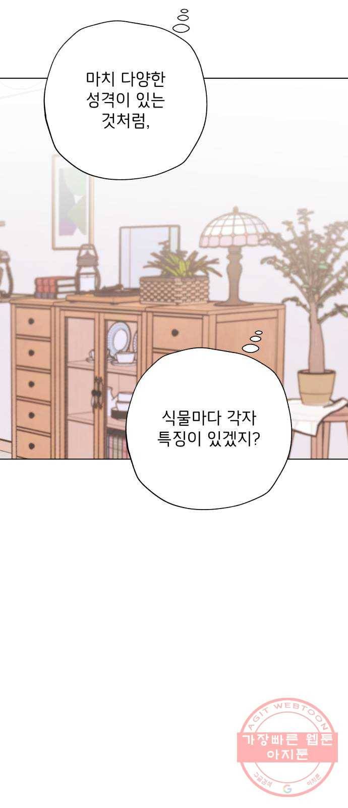취향 소개소 10. 식물도 이사가 필요해 48