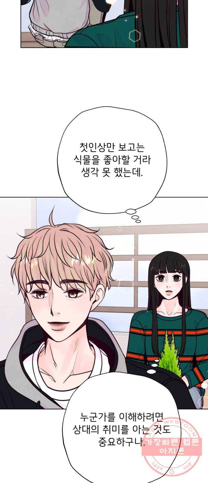 취향 소개소 10. 식물도 이사가 필요해 53