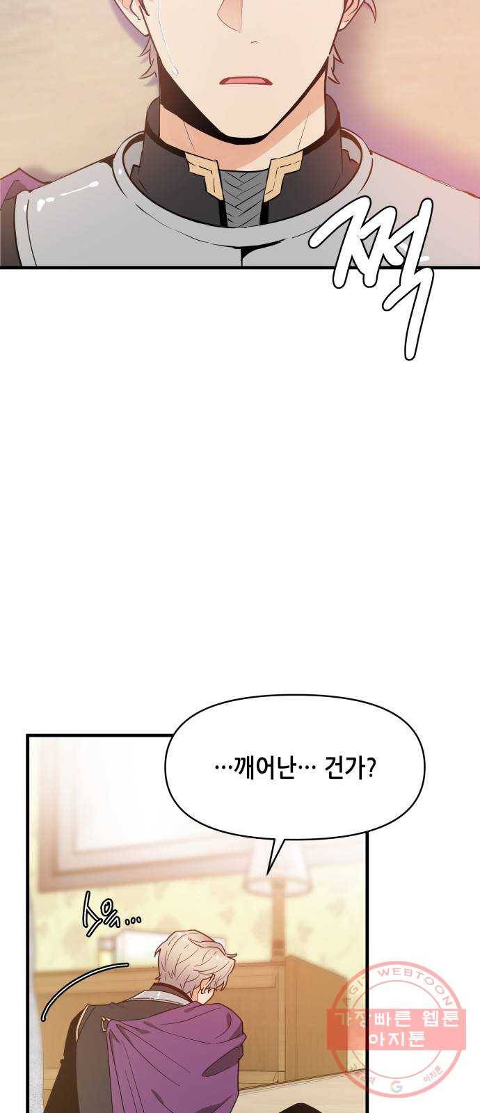 기사님을 지켜줘 30화 39
