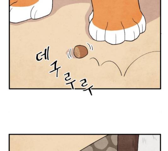 범이올시다! 81화 56