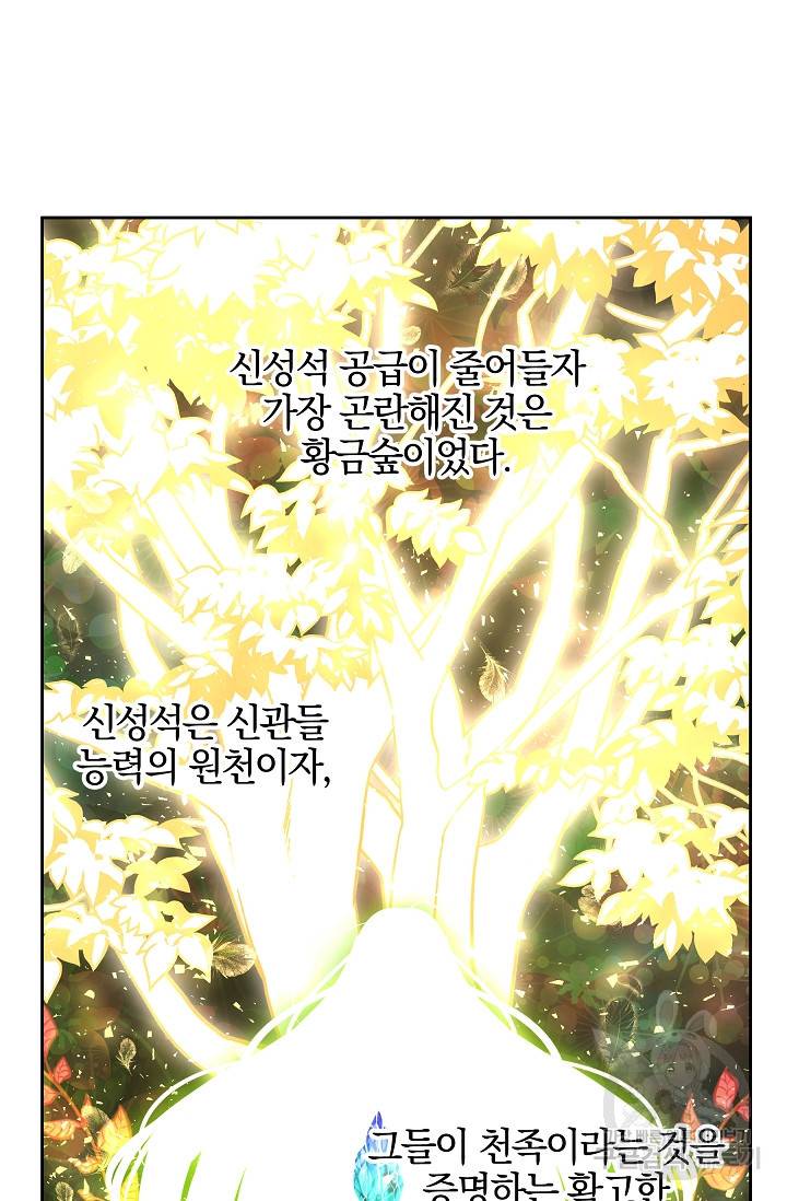황금숲 40화 49