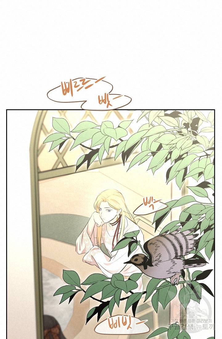 황금숲 40화 57