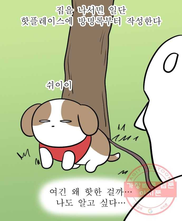 독립일기 시즌2 23화 산책 5