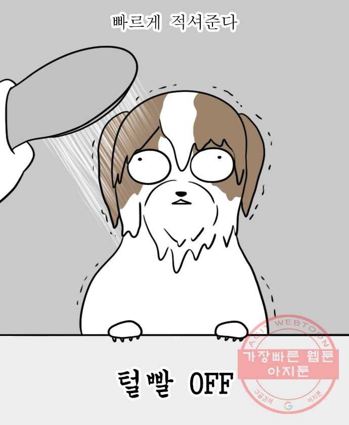 독립일기 시즌2 23화 산책 13