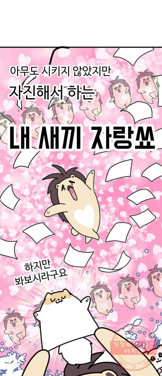 개를 낳았다 특별편 - 내 새끼 자랑쑈 1