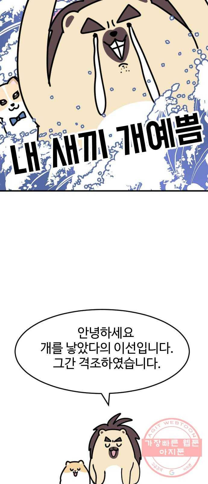 개를 낳았다 특별편 - 내 새끼 자랑쑈 2