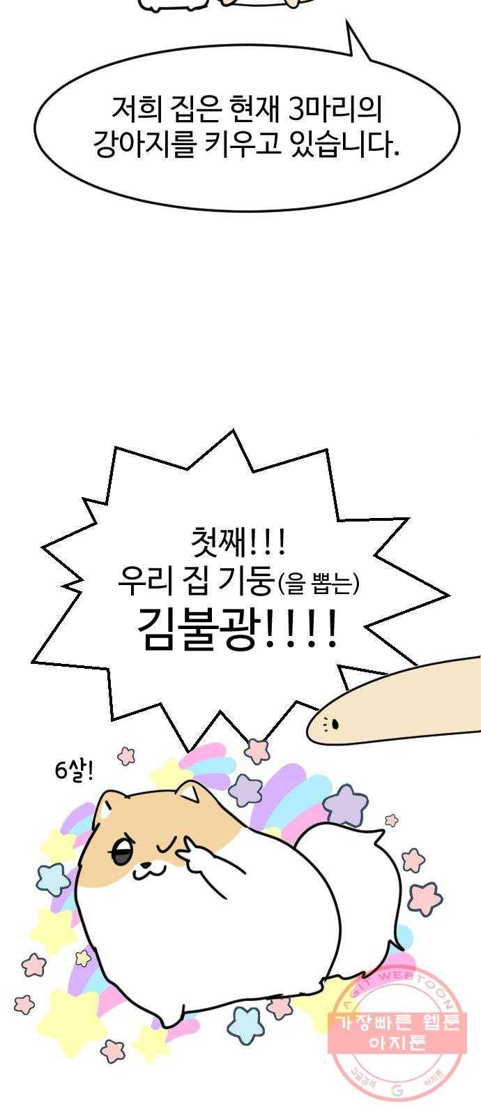 개를 낳았다 특별편 - 내 새끼 자랑쑈 3