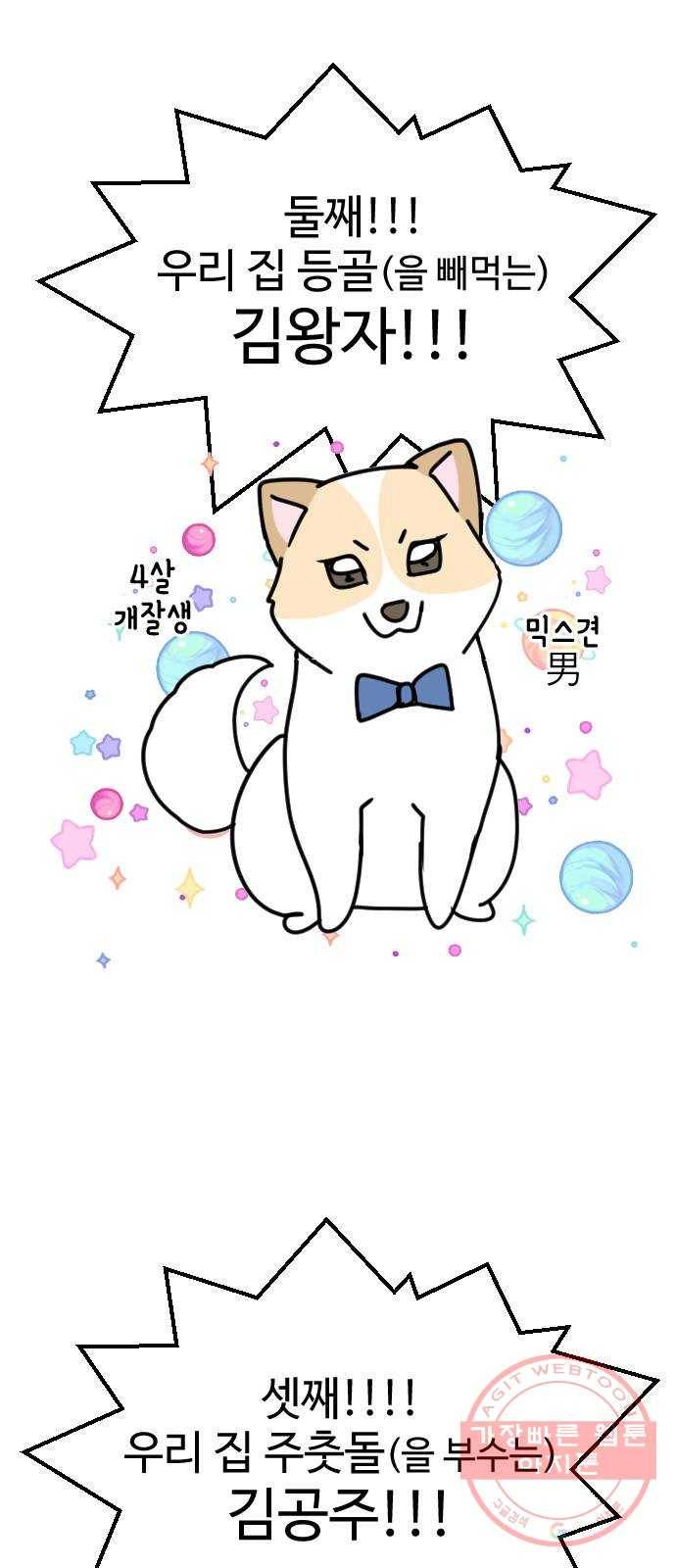 개를 낳았다 특별편 - 내 새끼 자랑쑈 4