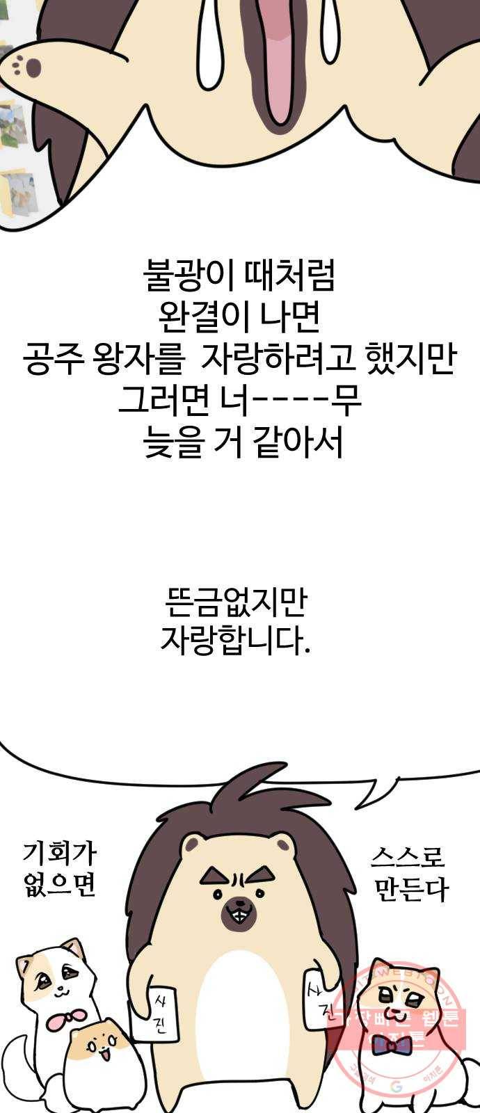 개를 낳았다 특별편 - 내 새끼 자랑쑈 6
