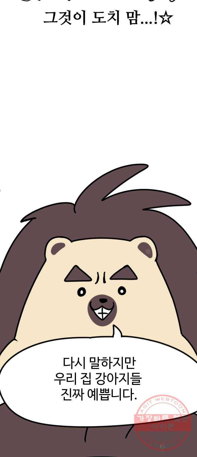 개를 낳았다 특별편 - 내 새끼 자랑쑈 7