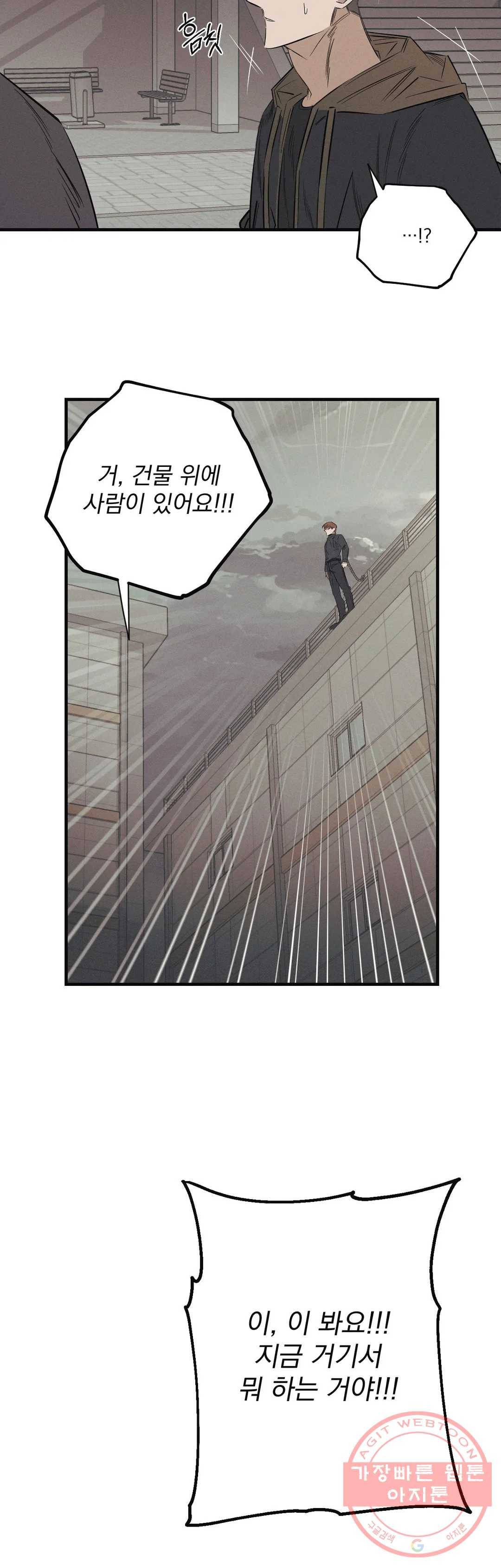 사화 11화 15