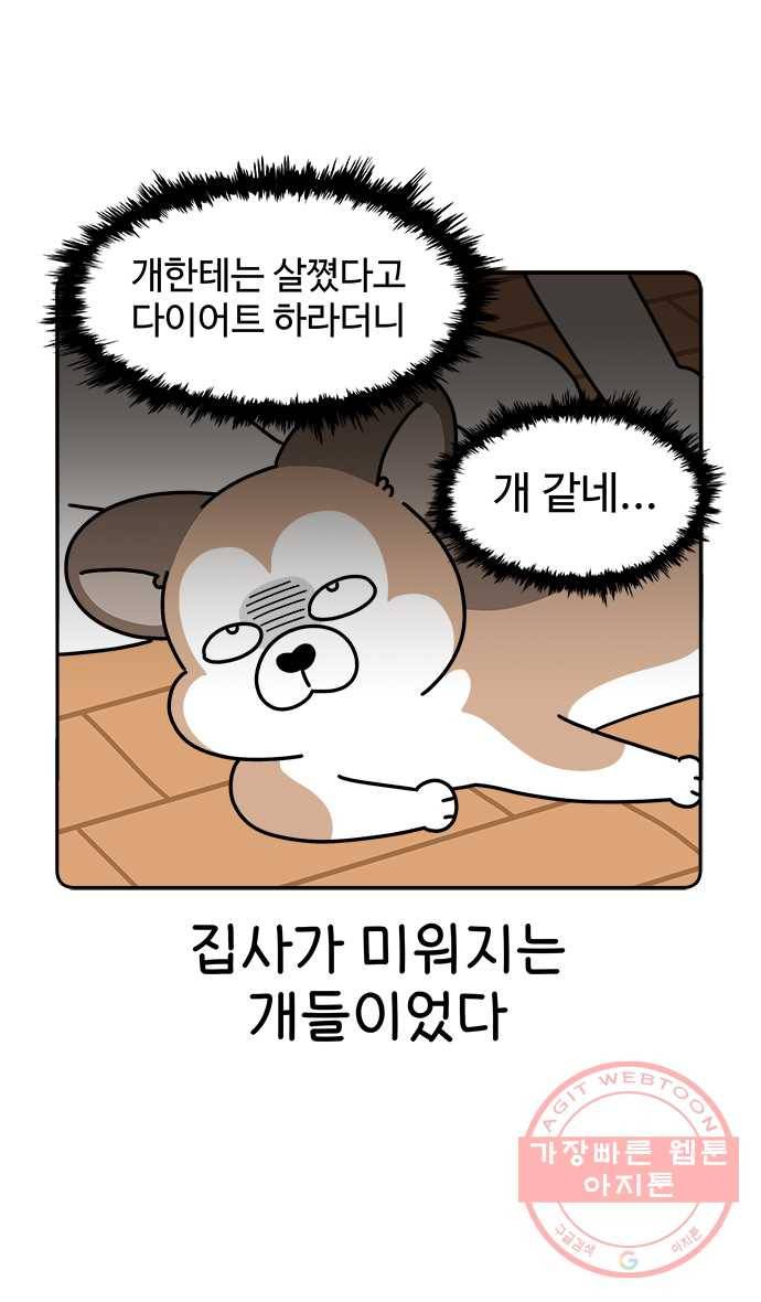 먹는 인생 14화 케이크 23