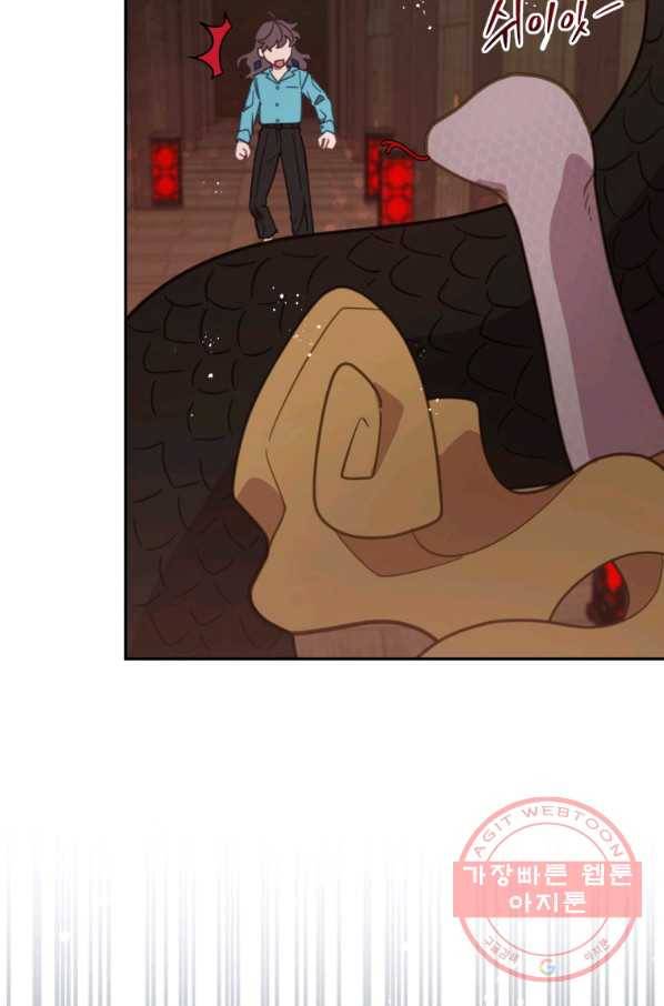 접경지역의 동물병원 71화 6