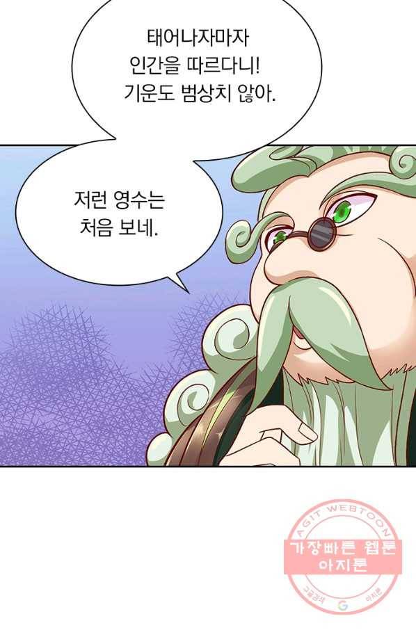 영검존 535화 30